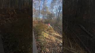 Bobby Boucher‘s defensive coordinator running a chainsaw #awesome #stihl #treeworker