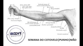 *SEMANA DO COTOVELO | PUNHO | MÃO*