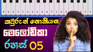 මේ රහස් 05 නොදැන මෙලෝඩිකා ගහන්න එපා | Melodica Lessons For Beginners | melodica