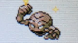 LIVE! Shiny Geodude after 14,929 REs on Gold Virtual Console!! (DTQ #2)