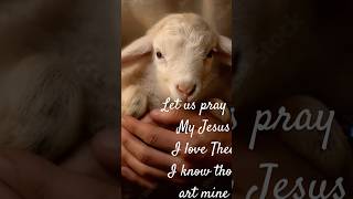 Let us pray 🙏 my Jesus i love Thee my gracious  Redeemer my Savior thou art