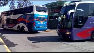 buses chilenos  2012