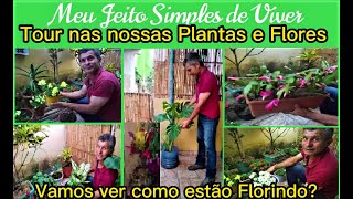 #tour nas nossas Plantas e Flores . Vamos ver #como estão #florindo ?