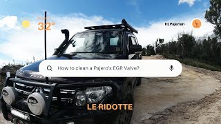 How to clean a Pajero's EGR Valve