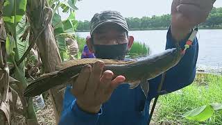 Seru Mancing Di Setu Pertamina Lihat Hasilnya