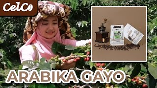 Kopi Sejak 1930 di Serambi Mekah | Kopi Arabika Aceh Gayo