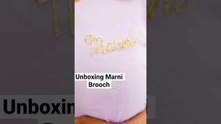 Unboxing New Addition To My Brooch Collection From Marni (Shopping Link is in the description