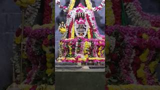 Mahadev Paramsivan | Sri Sivan Temple Vandalur Chennai | Please follow this channel for Sri Sambhu