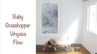 Yoga: Baby Grasshopper Vinyasa Flow