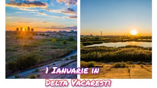 2023 începe cu o plimbare în Delta Văcărești