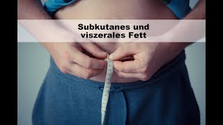 Subkutanes und viszerales Fett