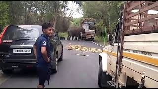 Vazhi neduga Kaatu malli #sathyamangalamforest   #asnur