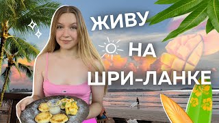 ЖИЗНЬ РЕЛОКАНТОВ У ОКЕАНА I VLOG: ШРИ-ЛАНКА