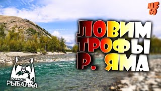 СНОВА ЛОВИМ ТРОФЫ НА РЕКЕ ЯМА! #SHORTS СТРИМ РУССКАЯ РЫБАЛКА 4 (RUSSIAN FISHING 4)