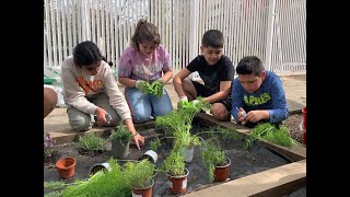 🦋I… Llavors què? Construïm jardins de papallones! Escola Rubió i Ors i URV #NitRecerCAT