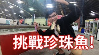 【金牌釣蝦】釣蝦場放大量珍珠魚初體驗大公開! Shrimp fishing in Taiwan 台湾のエビ釣り