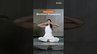 How to practice bhramari pranayama correctly #stressrelief #pranayama #pranayamabreathing