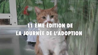 11ème édition de la journée de l'adoption