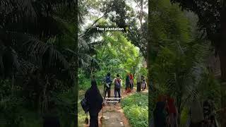 Tree plantation | Jahangirnagar University #shorts #jahangirnagaruniversity #treeplantation