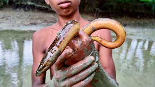 Eel Fishing | Eel Fishing techniques | Eel Fish Catching By Hand | Eel Fishing In Mud| HD Video