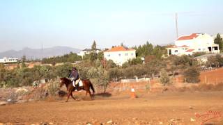 Horse Riding Slow Motion Gallop