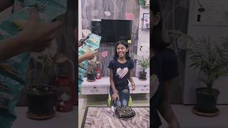 very Very funny B'day celebration  #funny  #funnyvideo #fun