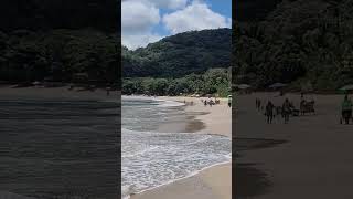 PRAIA DOMINGAS DIAS UBATUBA