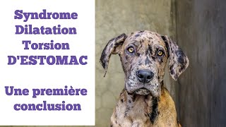 Syndrome dilatation torsion d'estomac, une première Conclusion