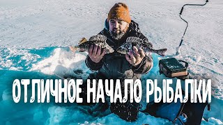 Окунь гнет кивки. Первая лунка дала окуней. Отличное начало рыбалки. Рыбалка в Тайге в глухозимье