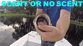 Scent Fishing Challenge. BF VS GF