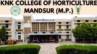 KNK COLLEGE OF HORTICULTURE, MANDSAUR CAMPUS VIEW || RVSKVV, HORTICULTURE COLLEGE, MANDSAUR