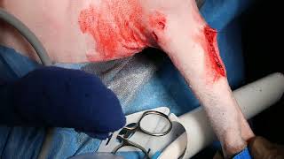 Elbow arthroscopy with ulnar osteotomy in a dog