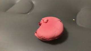 Trying macaroons for the first time