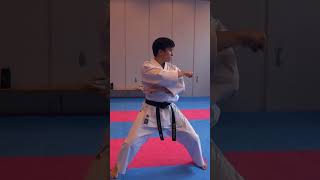 Shotokan karate