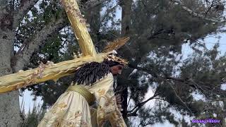 Jesús de la Merced y Virgen de dolores, domingo de ramos 2024.