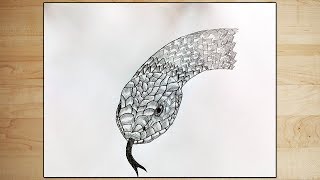 How to Draw a Snake - Draw Fantasy Art