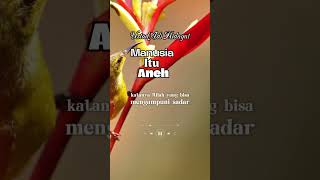 Manusia itu aneh#ustadzadihidayat #shortvideo#