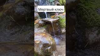 мертвый ключ #Удмуртия #зуевыключи #ключ #ручей #красота