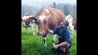 La Minute durable 14 - Romain Kolly - La valorisation de l'herbe