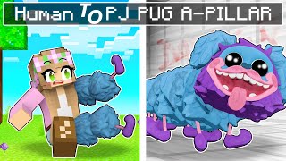 From HUMAN to PJ PUG A-PILLAR in Minecraft