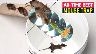 All time Best Mouse Trap Bucket | Easy Rat Trap Homemade | Best Mouse Trap