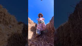 Mishti and the Texas Tulips Mini-Hay Maze. #texastulips #haymaze