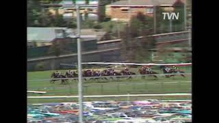 1982 COX PLATE - KINGSTON TOWN