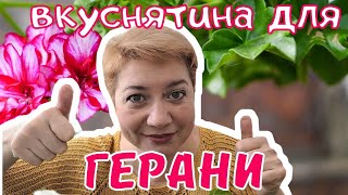 Подкормка для ГЕРАНИ. Супер эффективная и бюджетная.