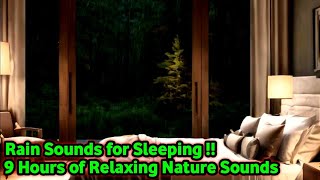 Rain Sounds for Sleeping | Dreamy Serenade of Rain and Thunder for Restful Sleep