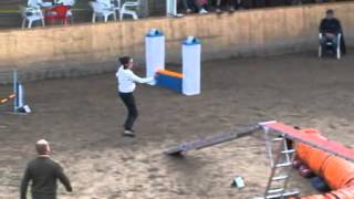 ASMV-Final 2012 - Mannschaft des Tibet Terrier Klubs der Schweiz