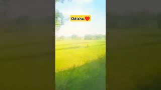 odisha # #vlogsodia #musicgenre #viralvideo #odiavlogs