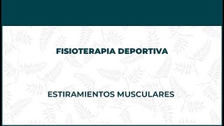 Estiramientos. Fisioterapia Deportiva - FisioClinics Barcelona, Barna