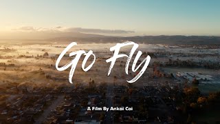 Go Fly (Cinematic Drone Footage) Mini 2