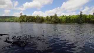 On the Trail with ADK: Essex Chain Lakes Primitive Area